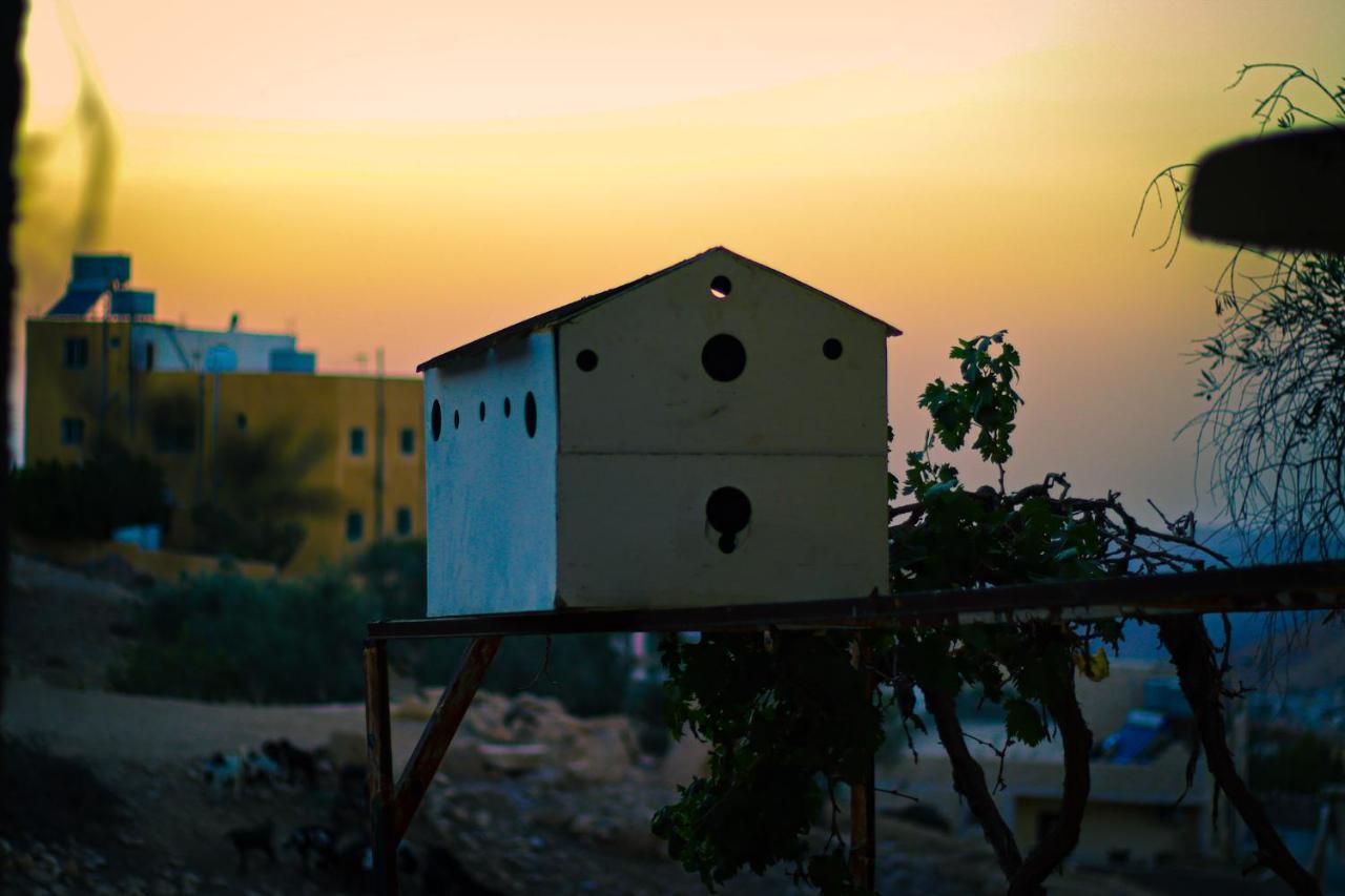 Petra Pottery Hostel ワディ・ムーサ エクステリア 写真